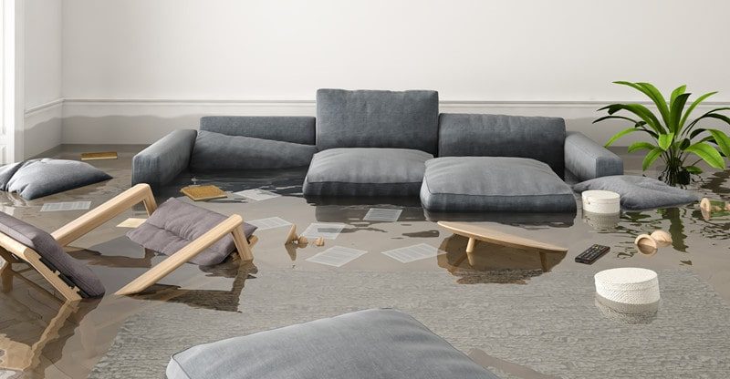 Guidelines For House Clear Up After Water Injury