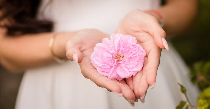 Blossoming Love: Incorporating Rosa Damascena Into Your Marriage ceremony Decor